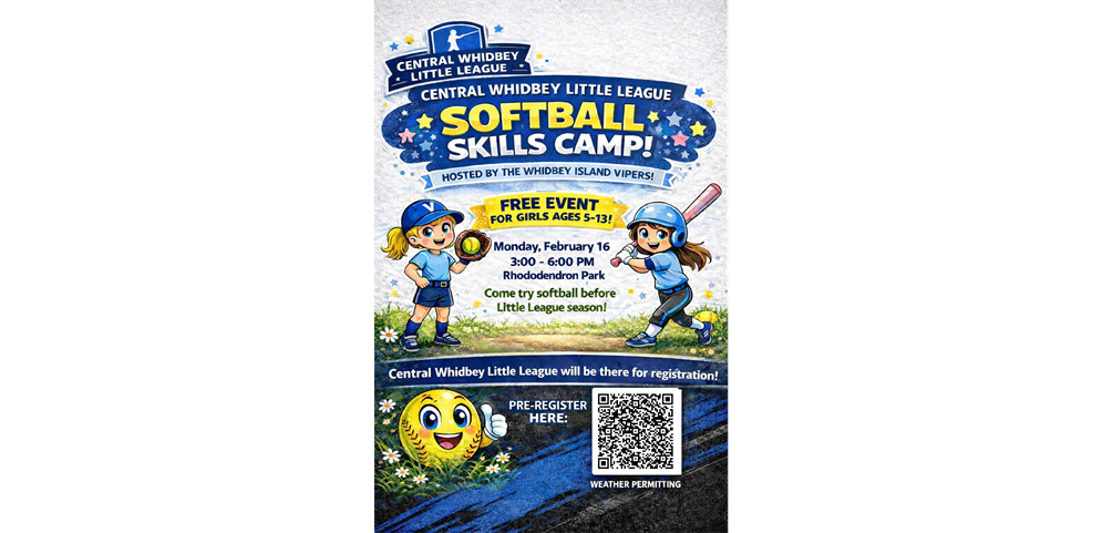 2025 Vipers Softball Skills Camp